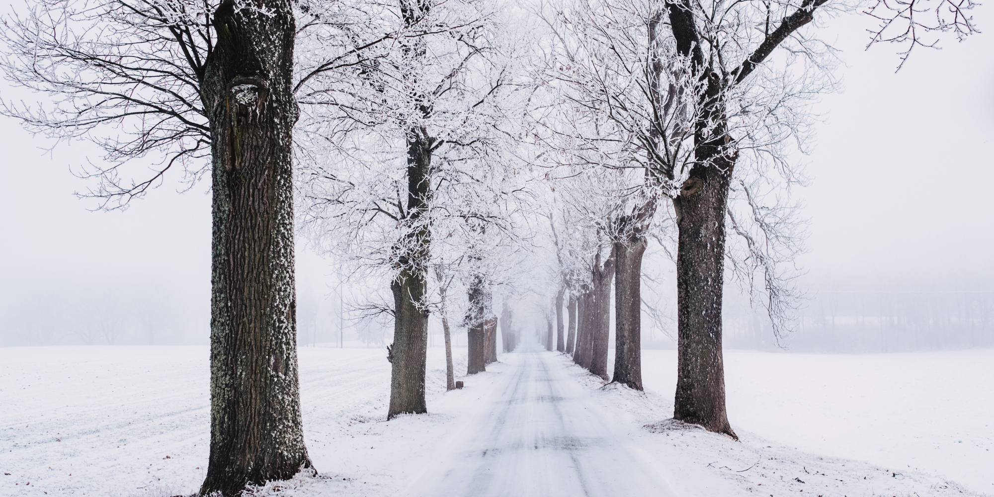 Adverse weather