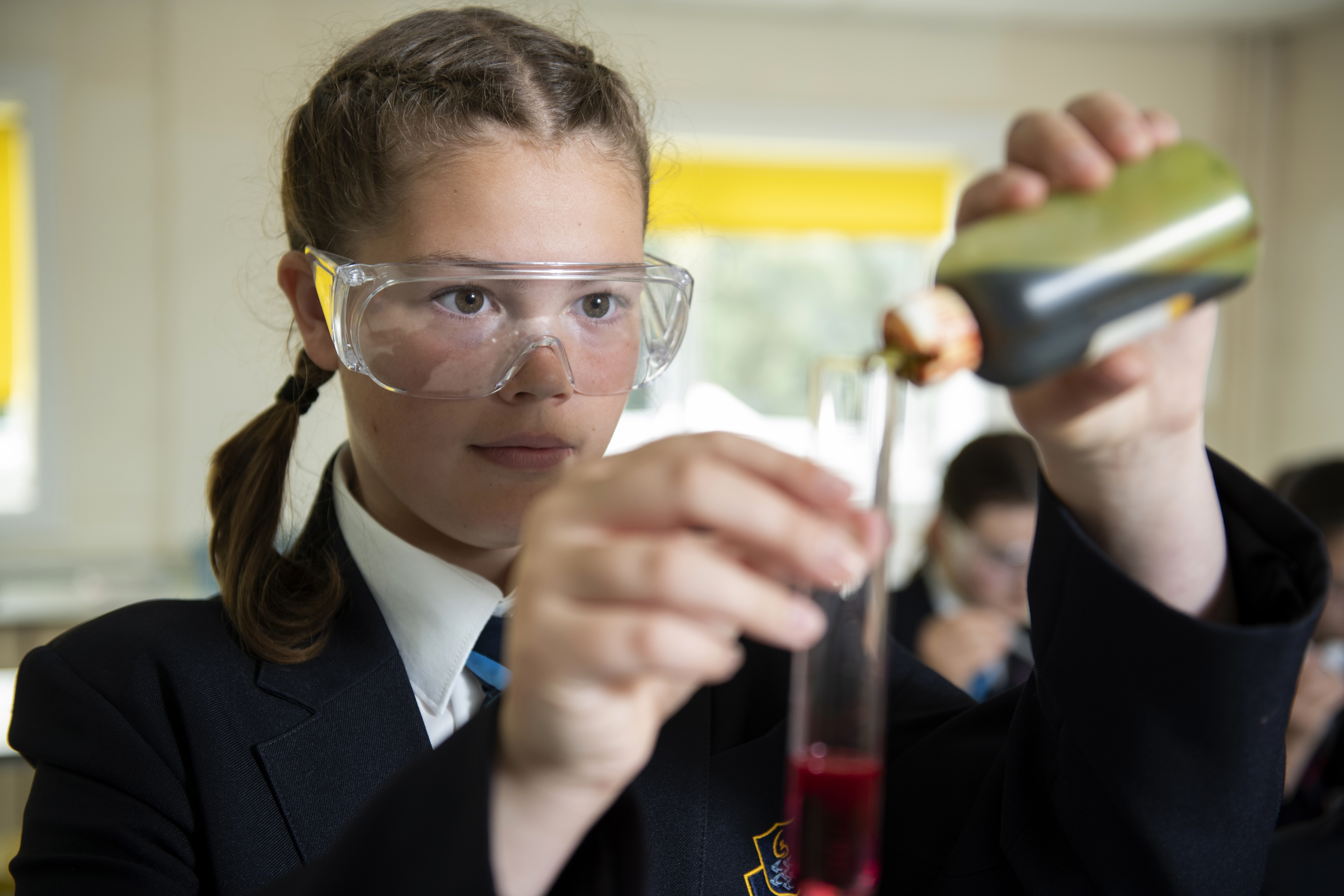 Curriculum Overview