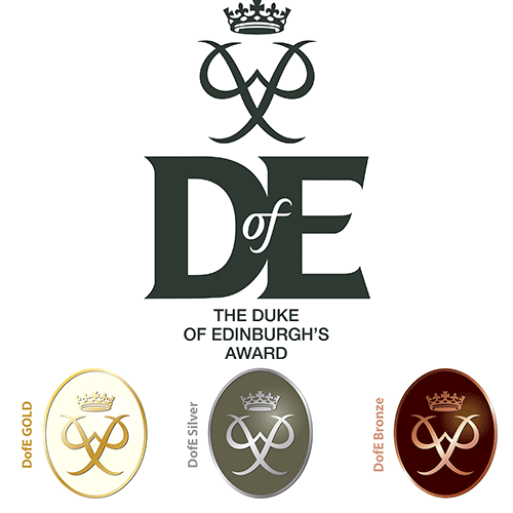 Logo icon