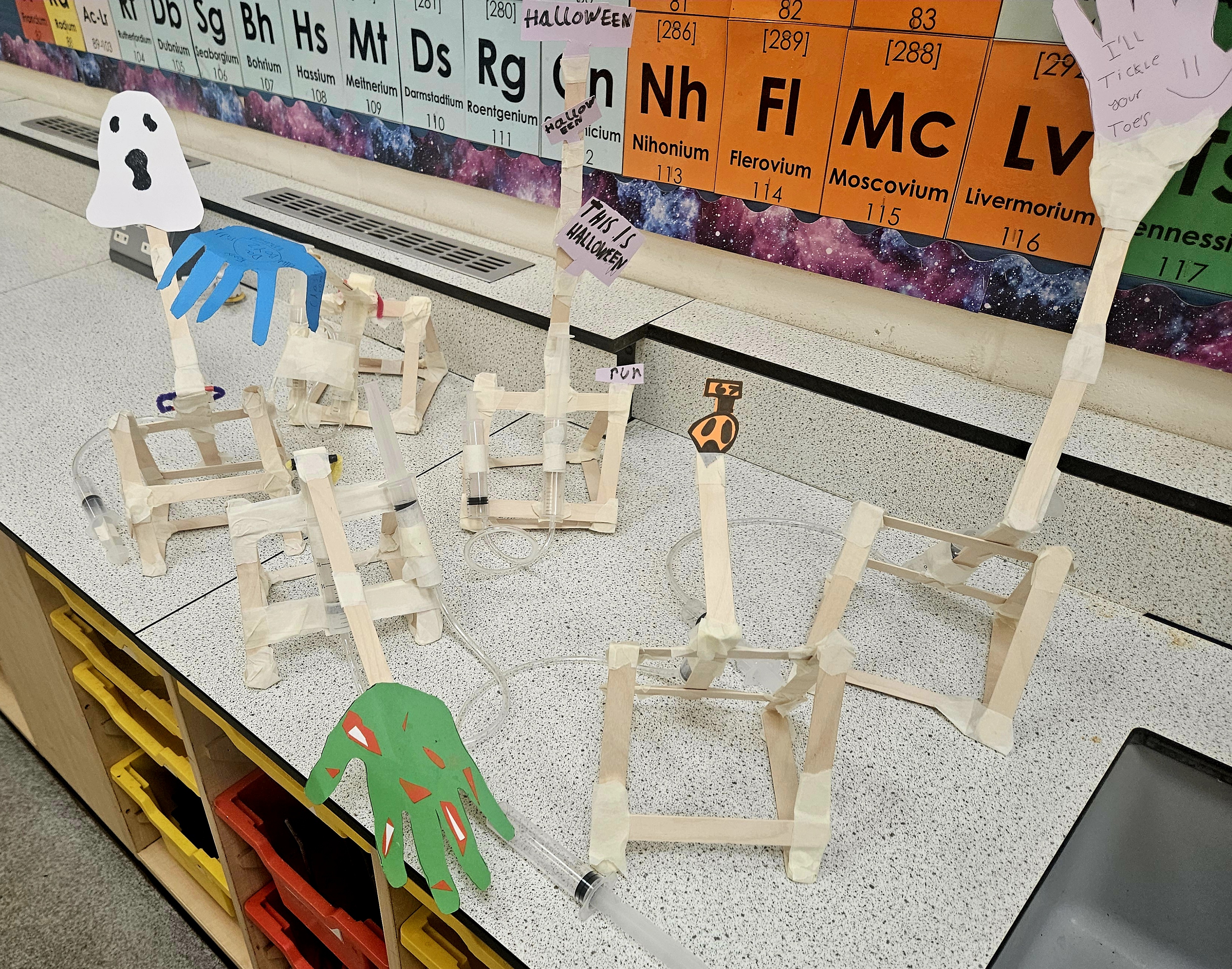 Year 7 STEM Project