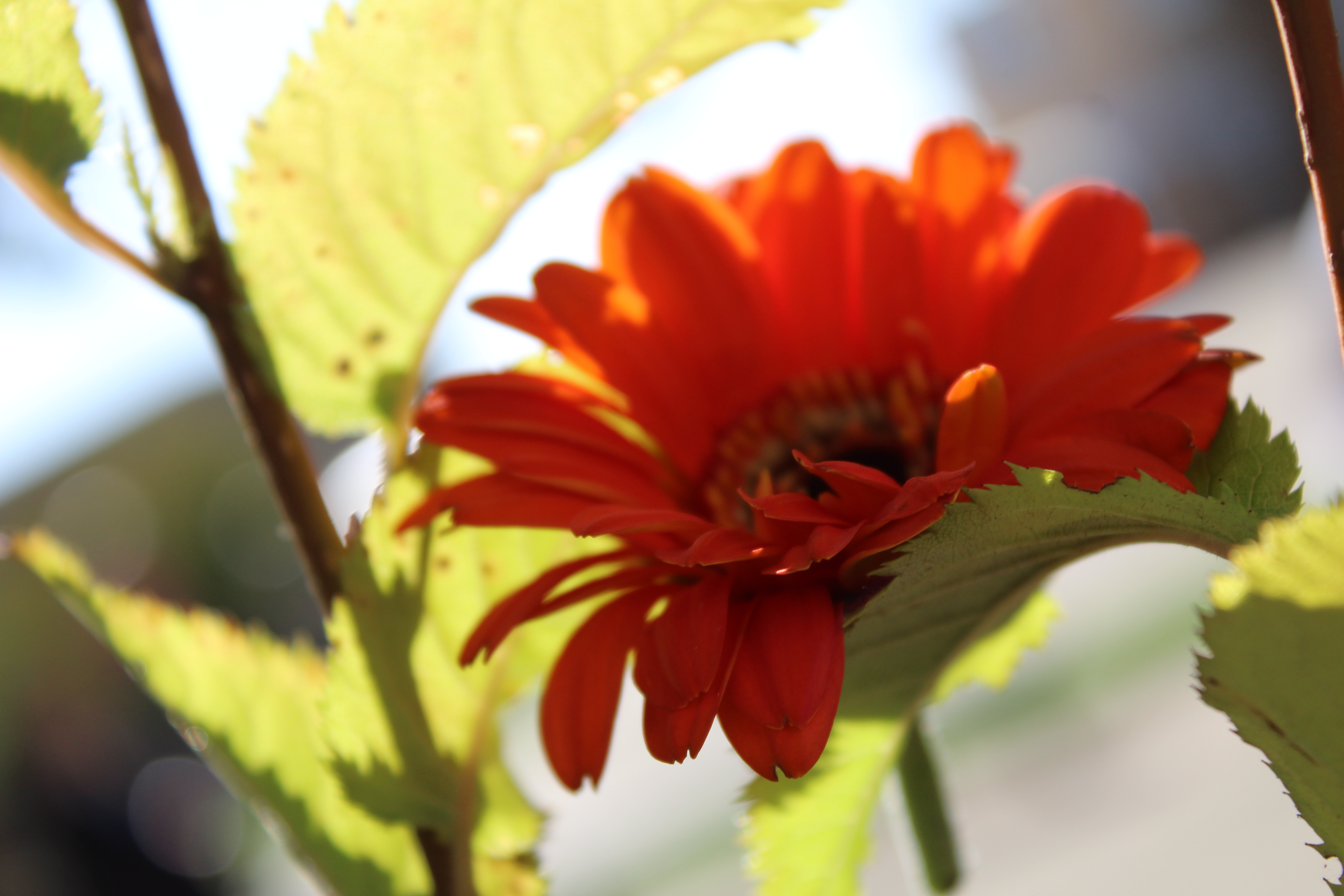 Year 9 Photography students