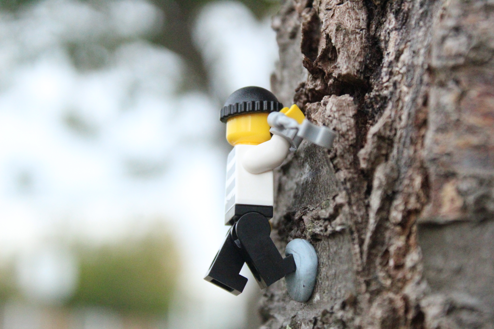 Year 9 Photography: Exploring Depth of Field